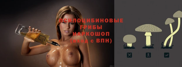амф Абдулино