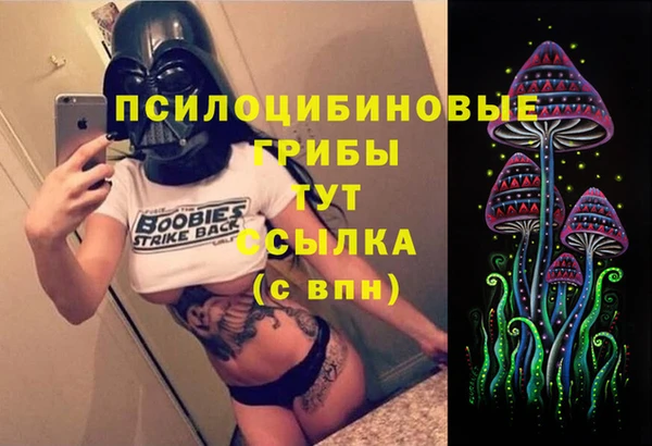 амф Абдулино