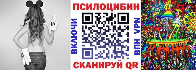 Галлюциногенные грибы Psilocybine cubensis  где можно купить   Рыльск 